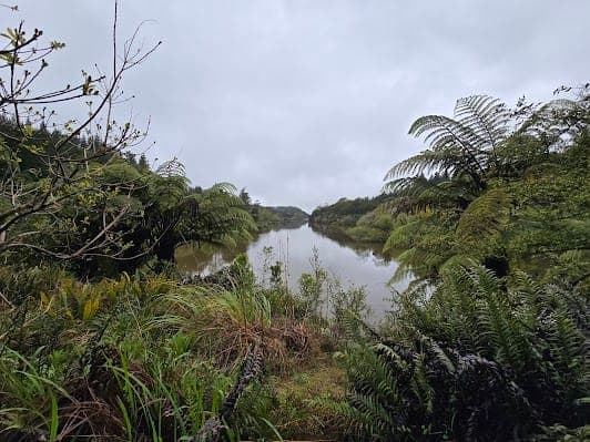 Lake Mangamahoe SCENIC LAKE AND FOREST TRACKS