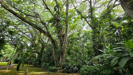 Port Moresby Nature Park