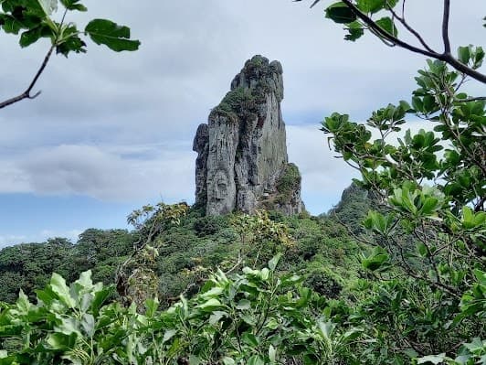 Te Rua Manga (The Needle)