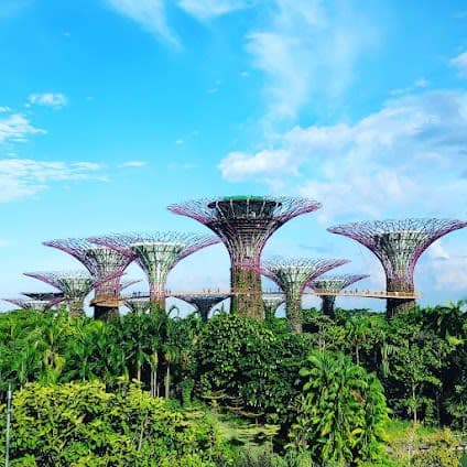 Gardens by the Bay