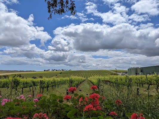 McLaren Vale Wine Region